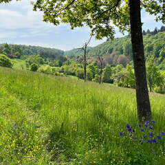 22-05-08 10-57-16 0758